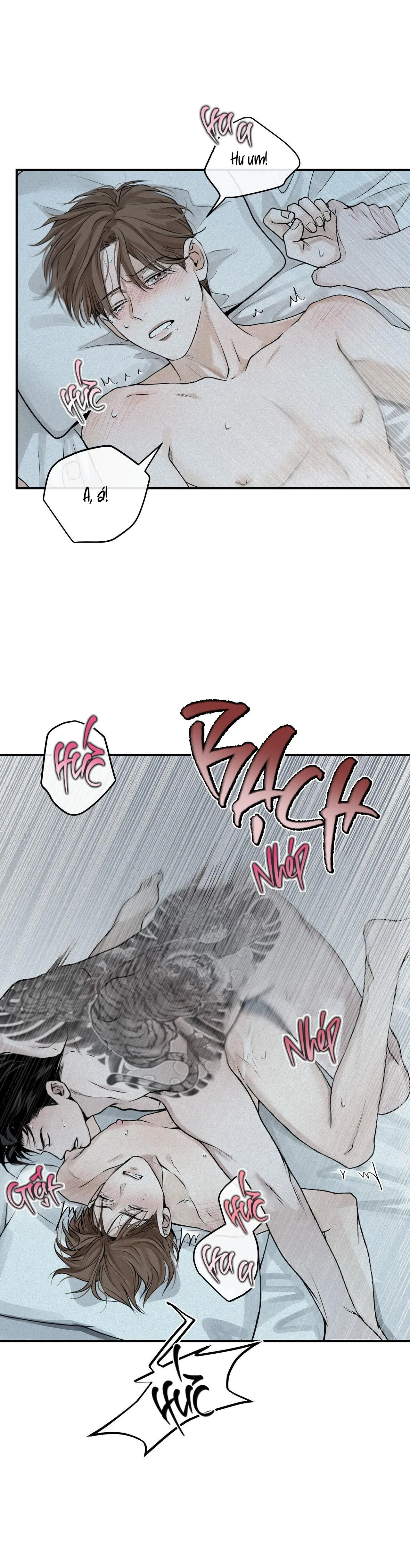 Phép Chiếu Chapter 19 Trang 4