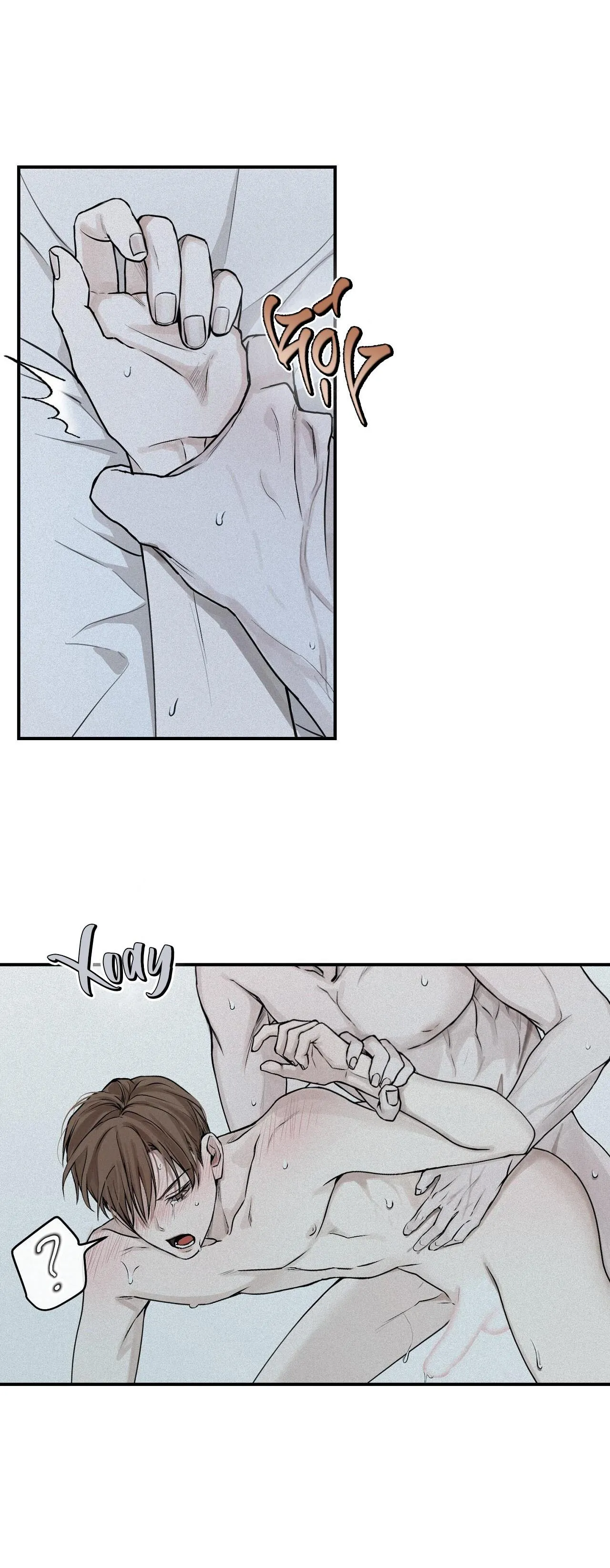 Phép Chiếu Chapter 19 Trang 5