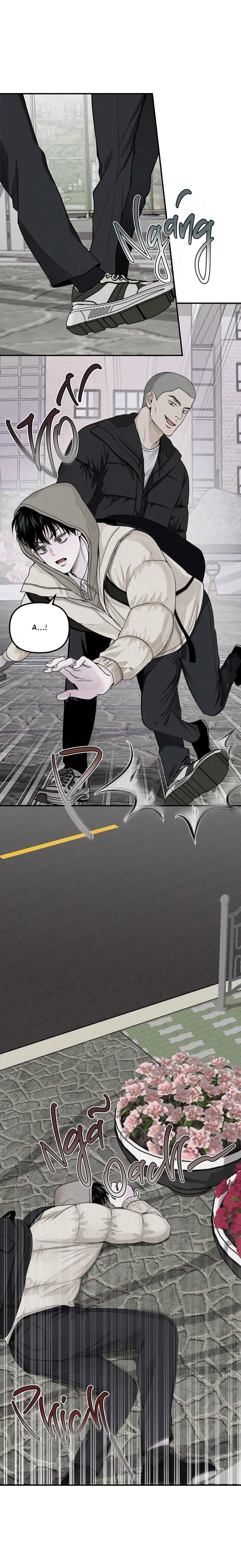 Phép Chiếu Chapter 22 Trang 28