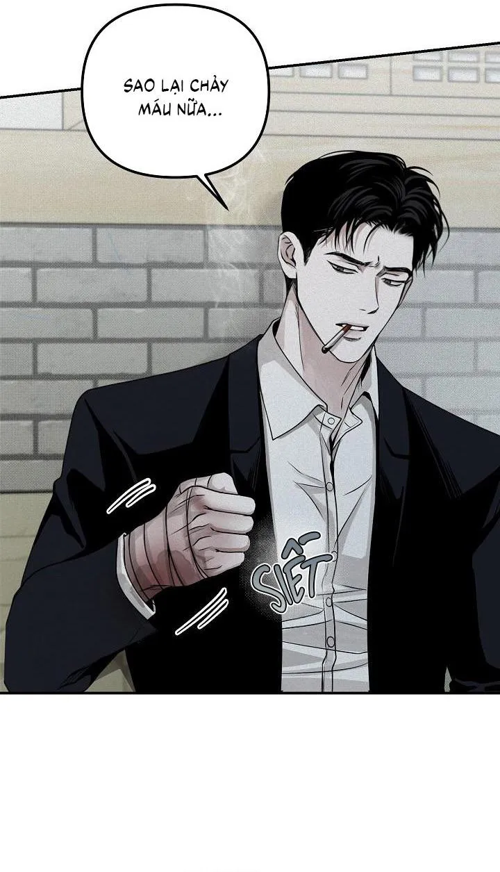 Phép Chiếu Chapter 31 Trang 23