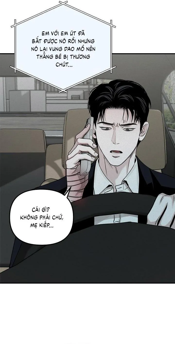 Phép Chiếu Chapter 31 Trang 43