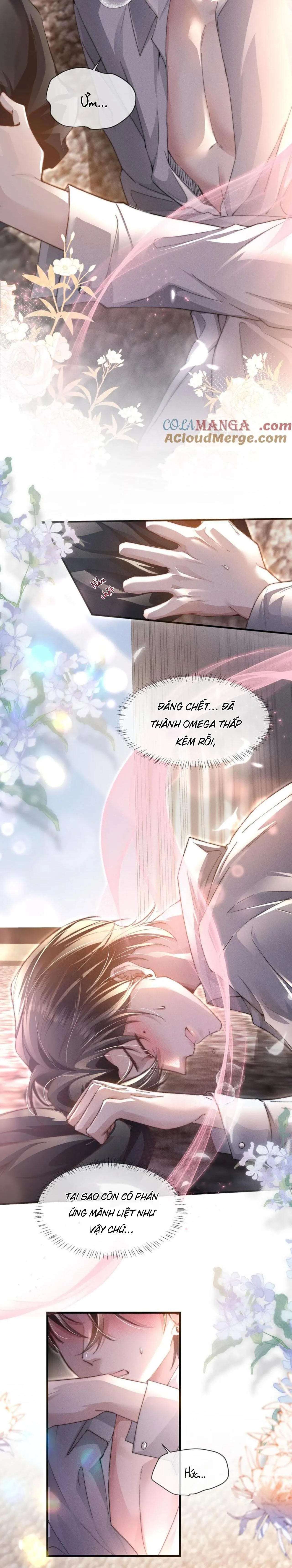 Phép Tắc Nuôi Dưỡng Chó Điên Chapter 11 Trang 11