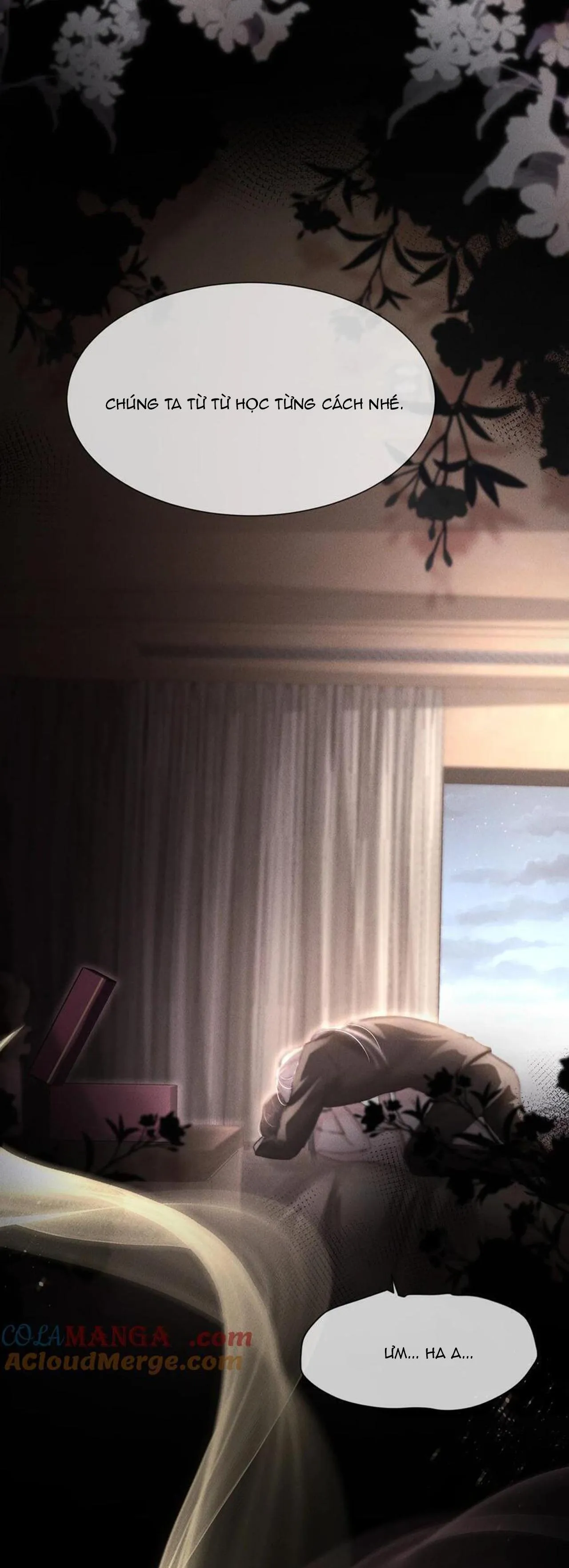 Phép Tắc Nuôi Dưỡng Chó Điên Chapter 13 Trang 15