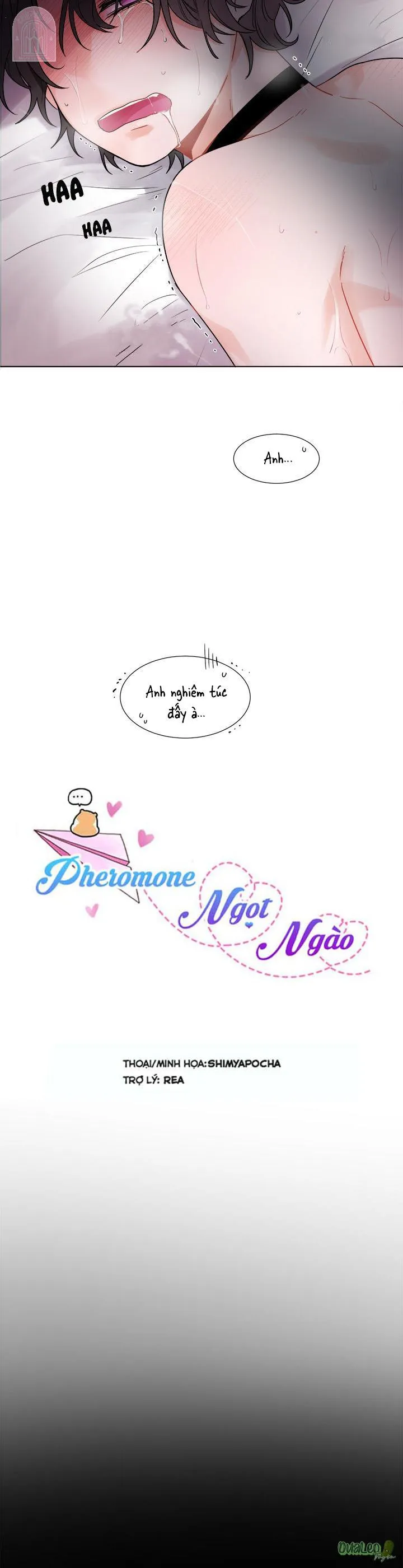 Pheromone ngọt ngào Chapter 1 Trang 3