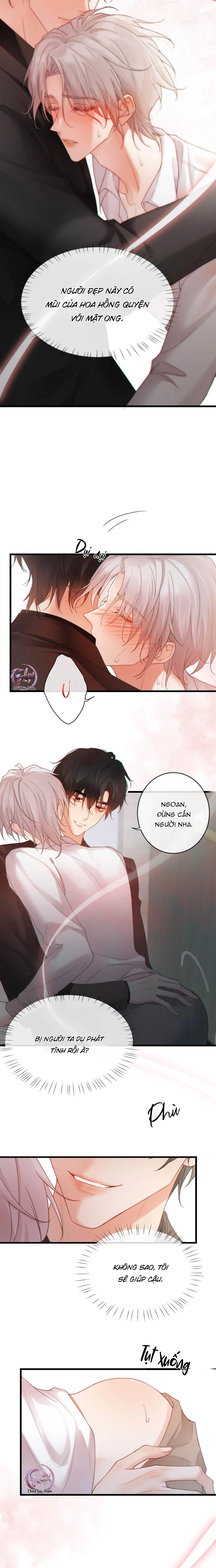 Pheromone Nồng Nàn Chapter 3 Trang 4