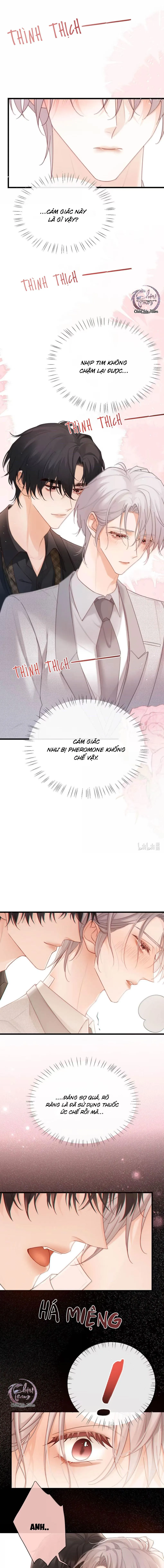 Pheromone Nồng Nàn Chapter 11 Trang 5