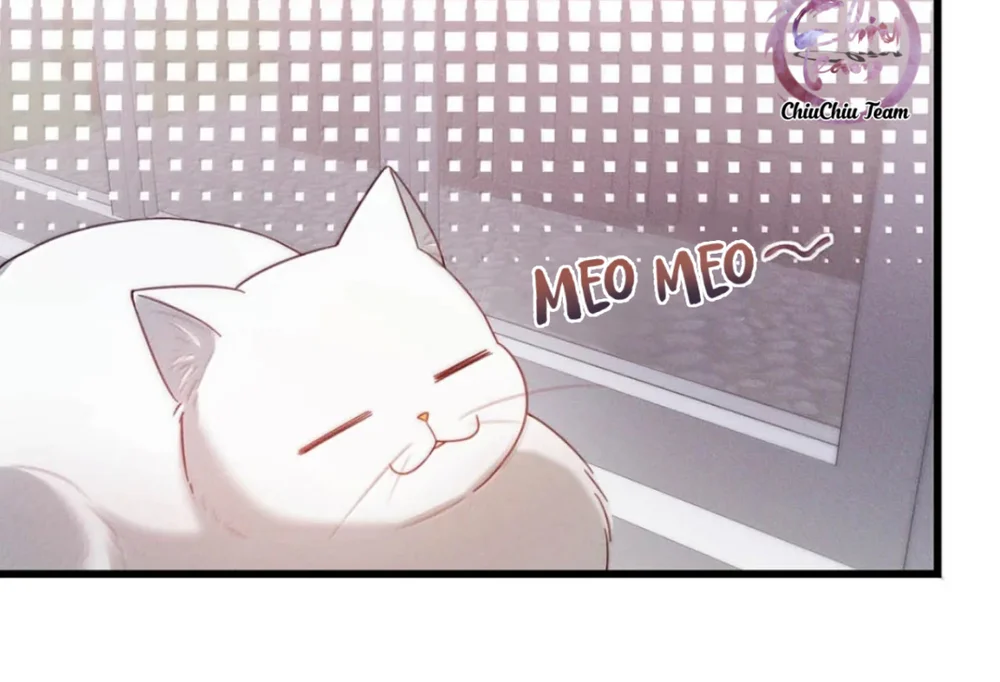 Pheromone Nồng Nàn Chapter 43 Trang 18