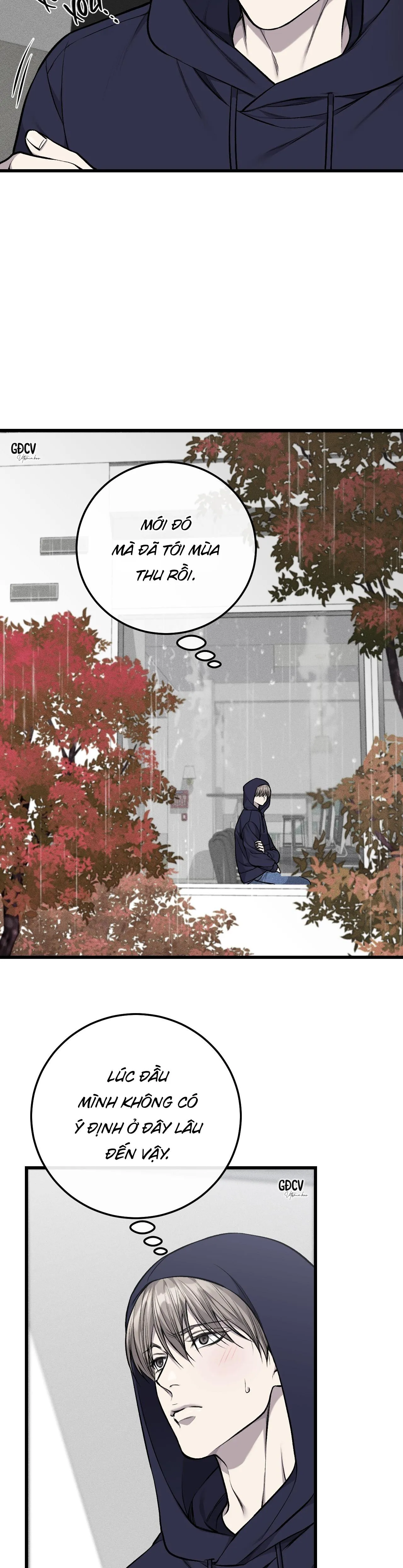 PHI VỤ BẨN THỈU Chapter 27 Trang 10