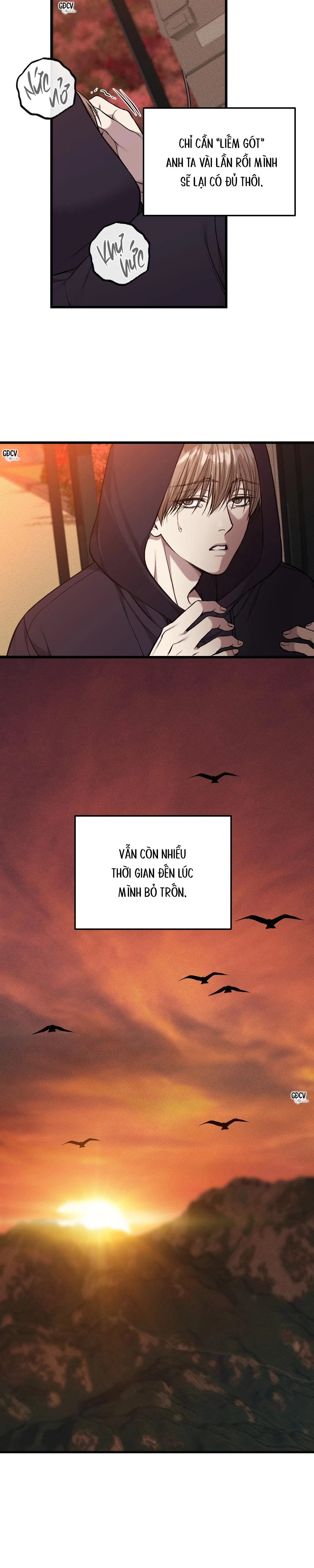 PHI VỤ BẨN THỈU Chapter 34 Trang 12