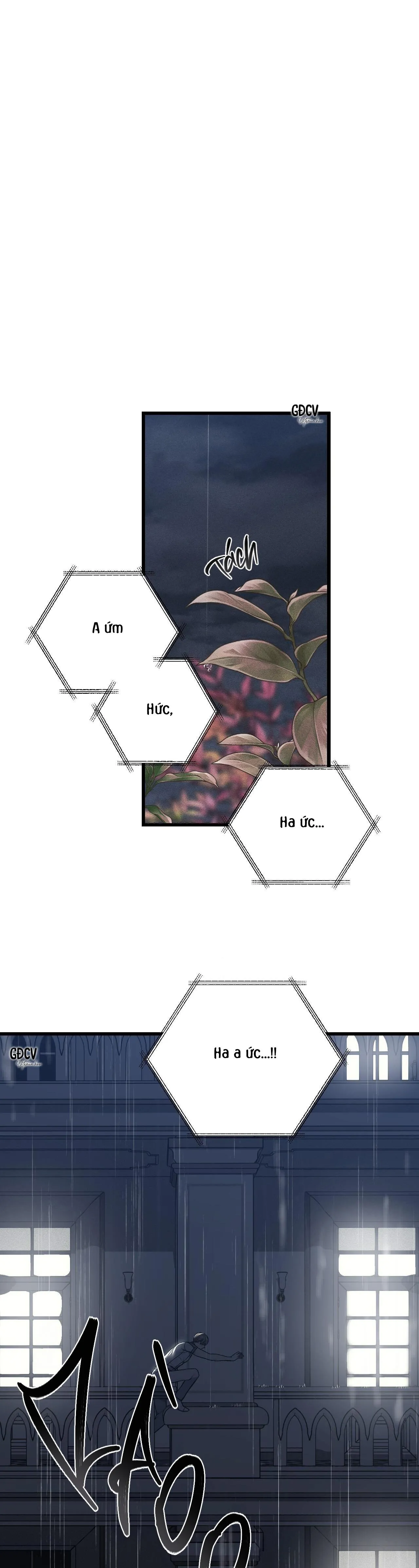 PHI VỤ BẨN THỈU Chapter 39 Trang 6
