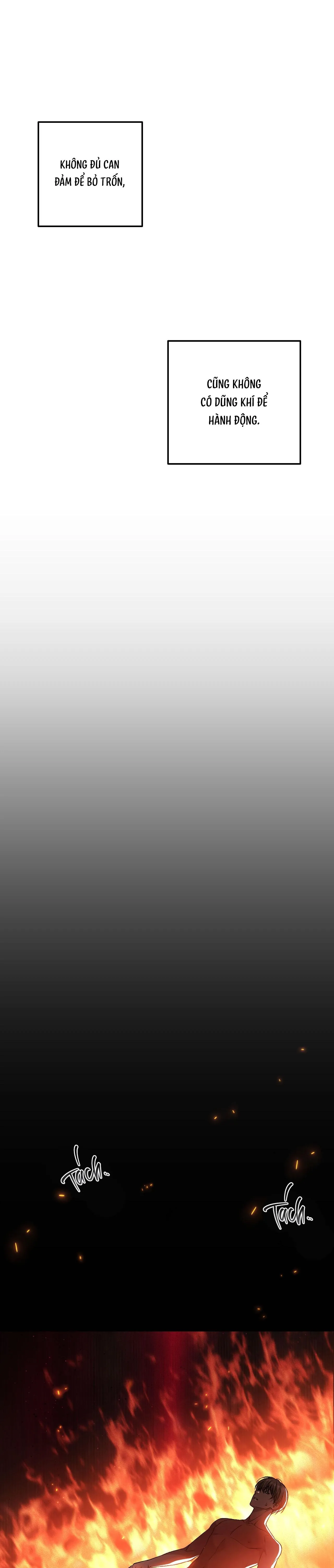 PHI VỤ BẨN THỈU Chapter 53 Trang 8