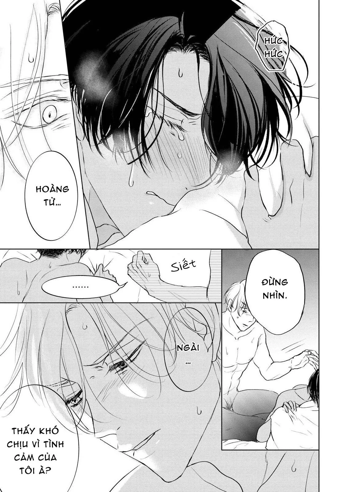 Phi vụ săn vợ của Hoàng tử Chapter 5 Trang 3