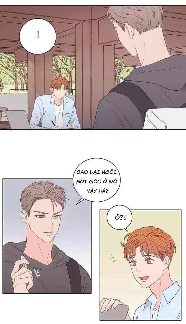 Phòng 1305 Chapter 15 Trang 5