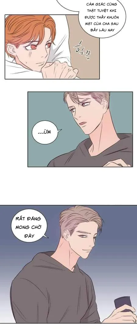 Phòng 1305 Chapter 15 Trang 14