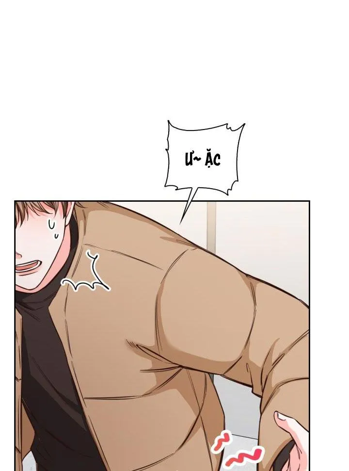 PHÒNG TẮM HƠI Chapter 13 Trang 50