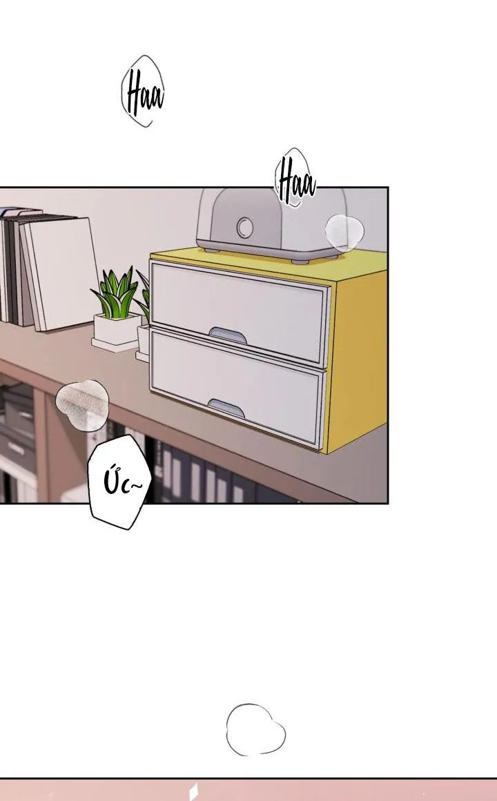 PHÒNG TẮM HƠI Chapter 16 Trang 12