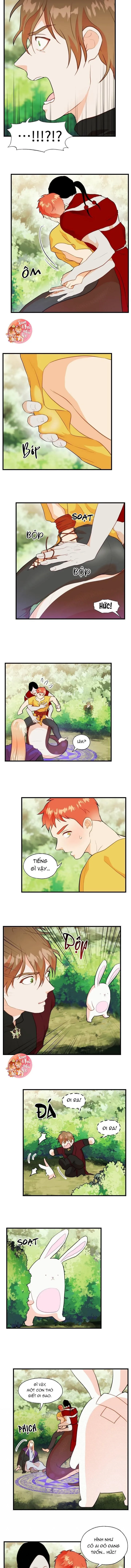 Phù Thủy Gợi Tình Chapter 26 Trang 5