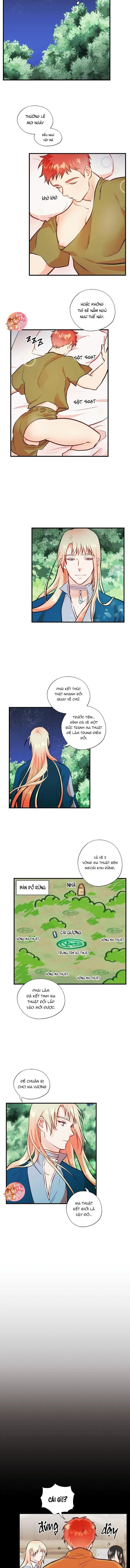 Phù Thủy Gợi Tình Chapter 31 Trang 4