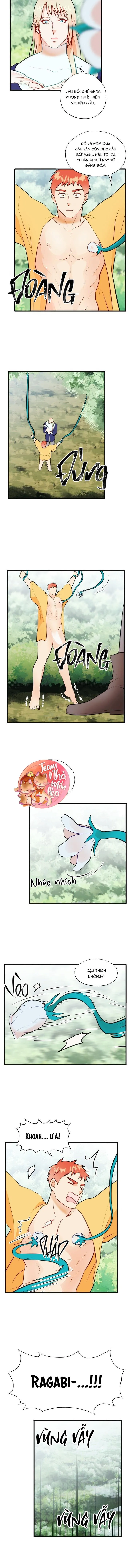 Phù Thủy Gợi Tình Chapter 62 Trang 16