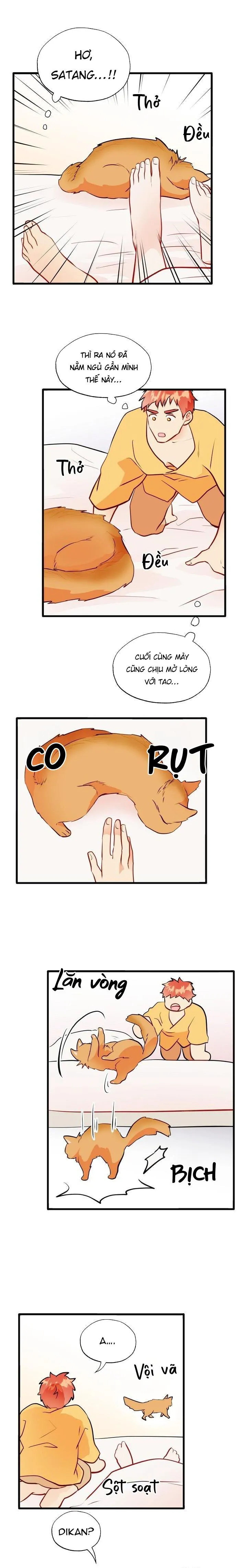 Phù Thủy Gợi Tình Chapter 66 Trang 3