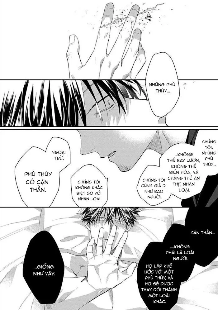 Phù thủy và Mèo Chapter 2 Trang 4