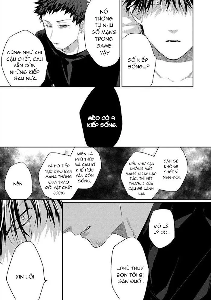 Phù thủy và Mèo Chapter 2 Trang 7