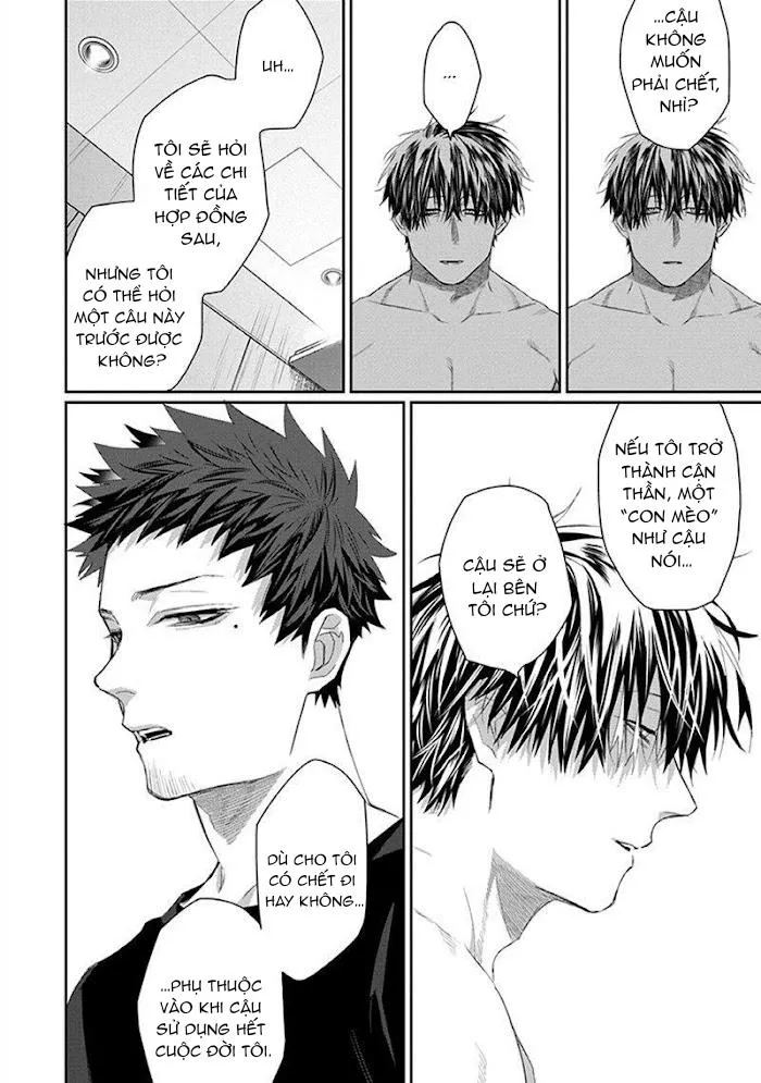 Phù thủy và Mèo Chapter 2 Trang 12