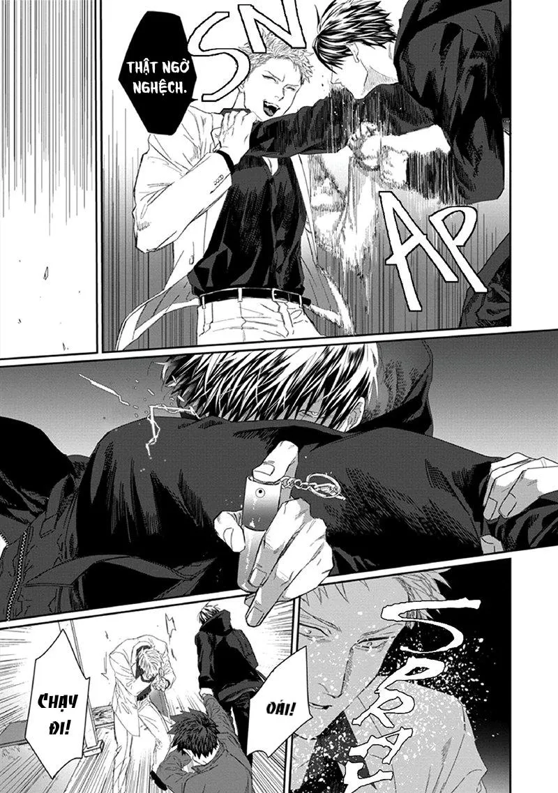 Phù thủy và Mèo Chapter 3 Trang 9