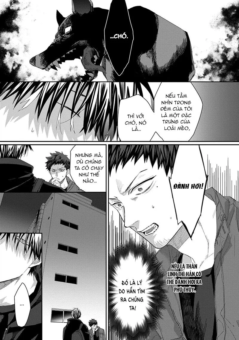 Phù thủy và Mèo Chapter 3 Trang 13