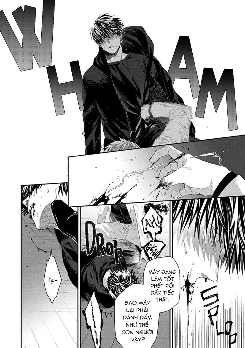 Phù thủy và Mèo Chapter 3 Trang 24