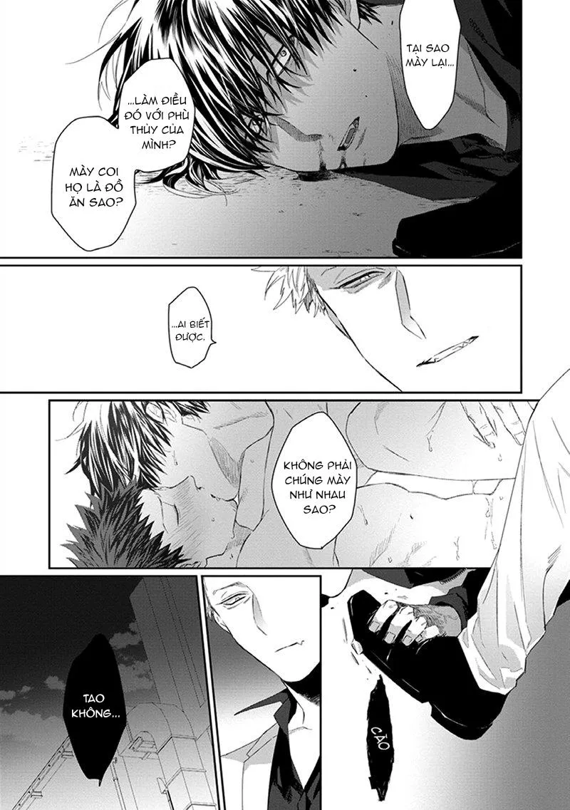 Phù thủy và Mèo Chapter 3 Trang 27