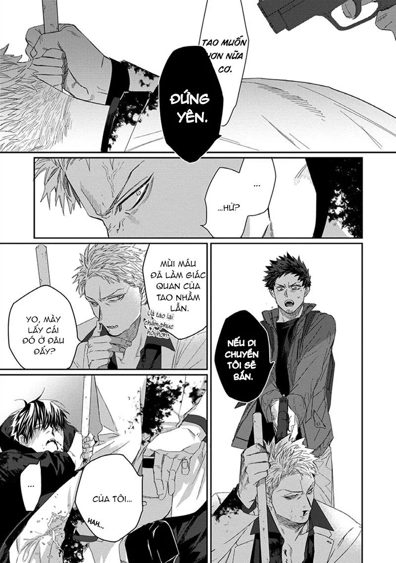 Phù thủy và Mèo Chapter 3 Trang 31