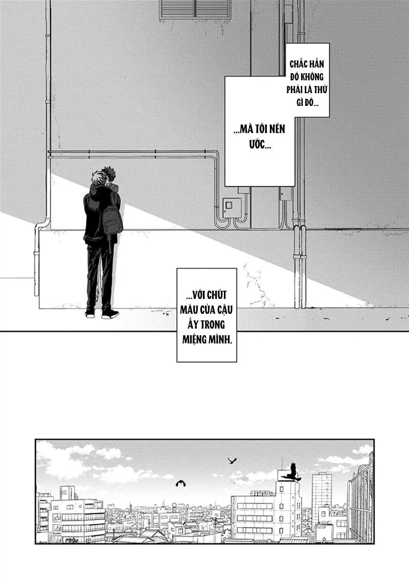 Phù thủy và Mèo Chapter 3 Trang 44