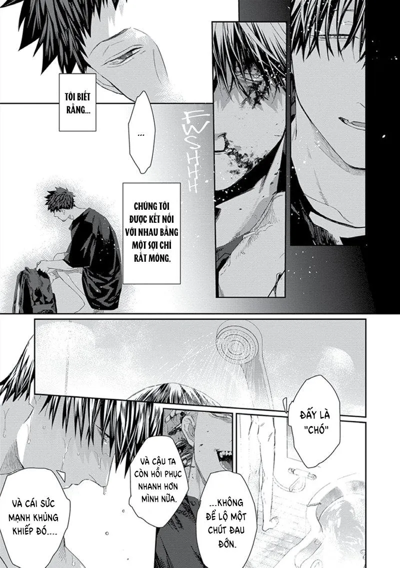 Phù thủy và Mèo Chapter 4 Trang 9