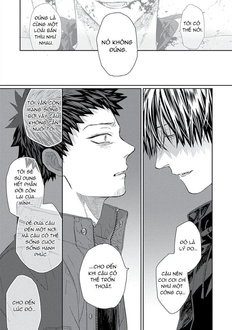 Phù thủy và Mèo Chapter 4 Trang 23