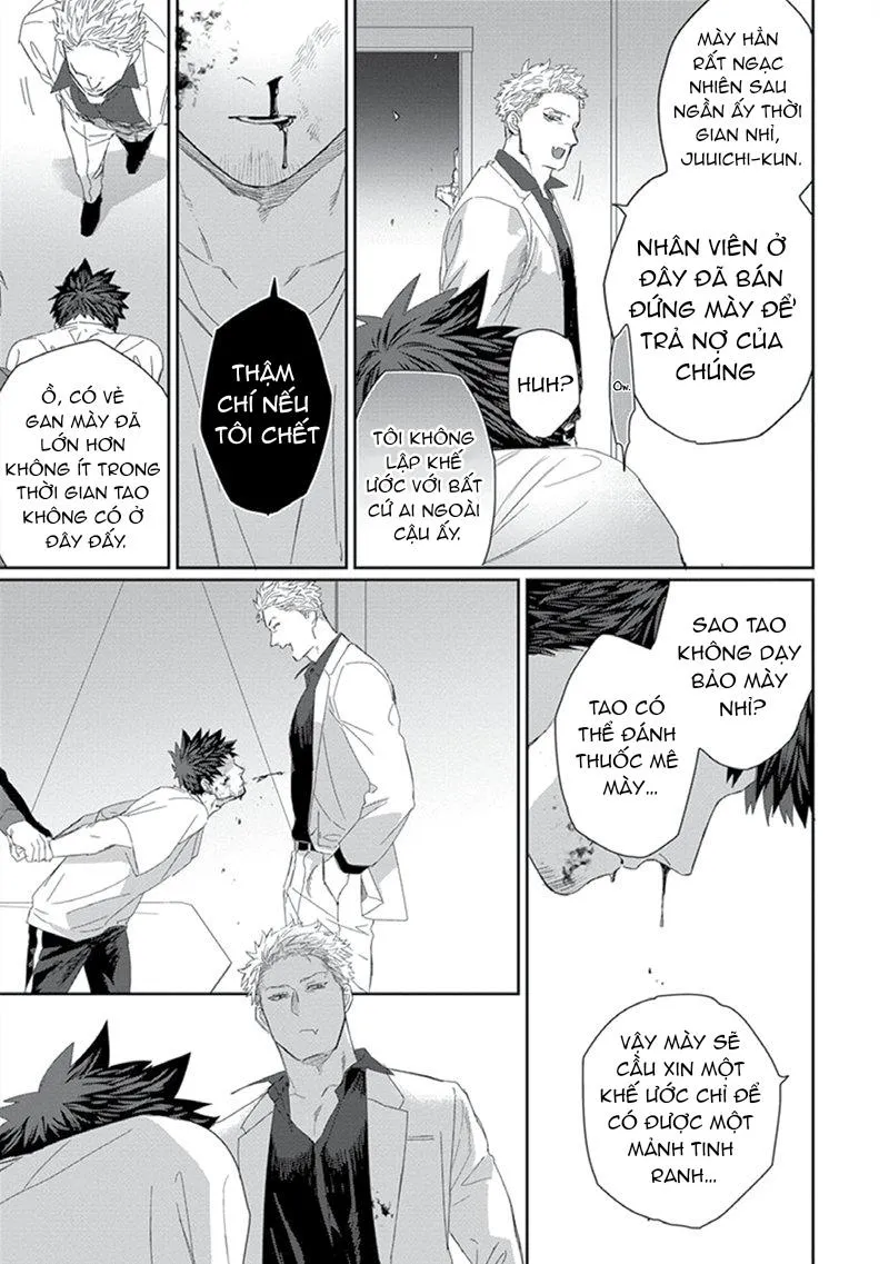 Phù thủy và Mèo Chapter 4 Trang 41