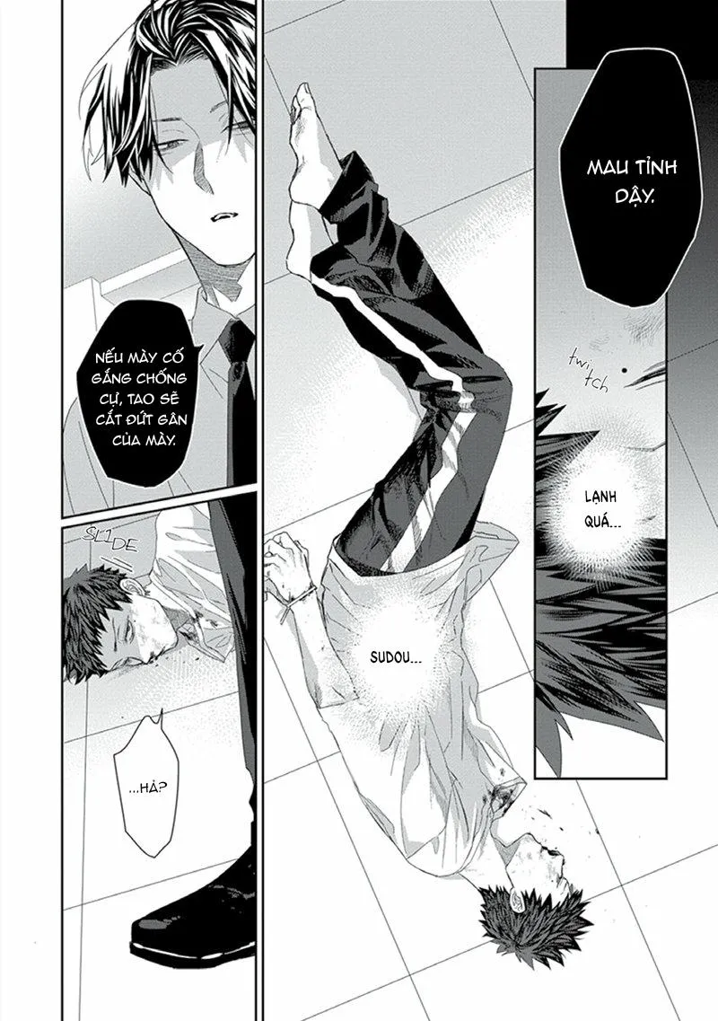 Phù thủy và Mèo Chapter 5 Trang 9