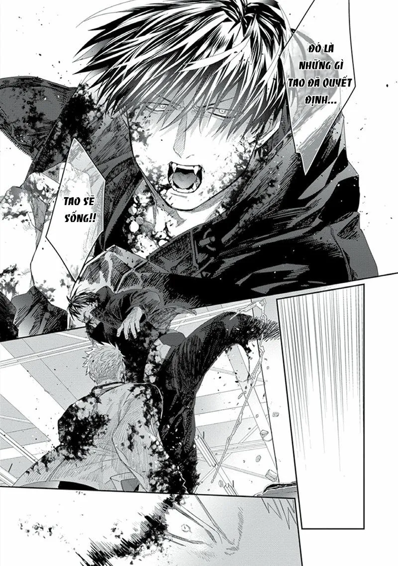 Phù thủy và Mèo Chapter 5 Trang 32