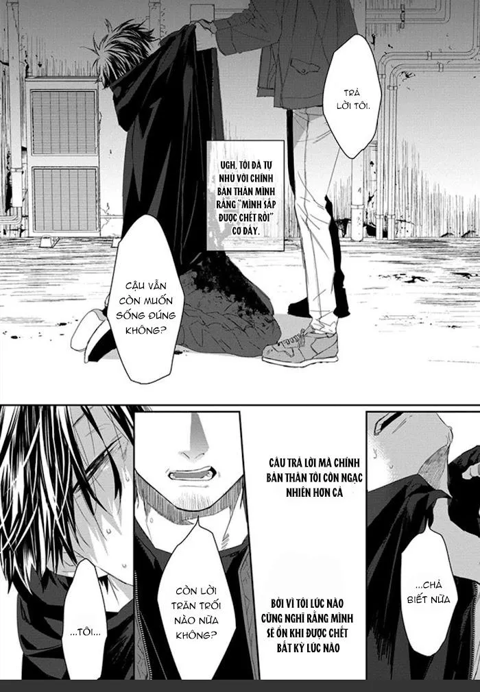 Phù thủy và Mèo Chapter 1 Trang 5