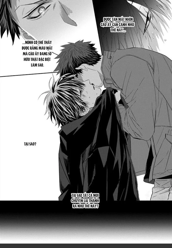 Phù thủy và Mèo Chapter 1 Trang 7