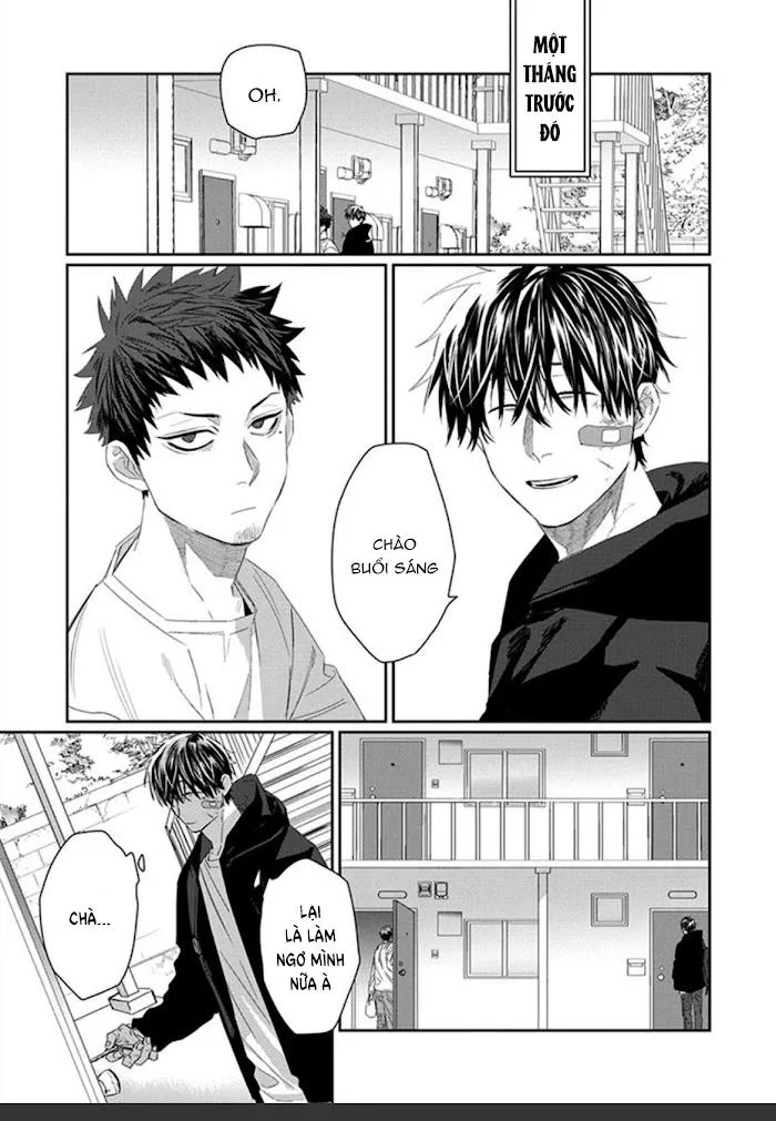 Phù thủy và Mèo Chapter 1 Trang 8