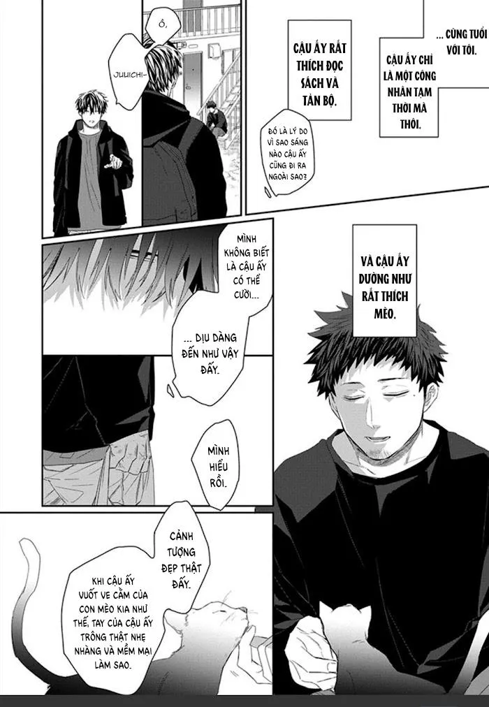 Phù thủy và Mèo Chapter 1 Trang 21
