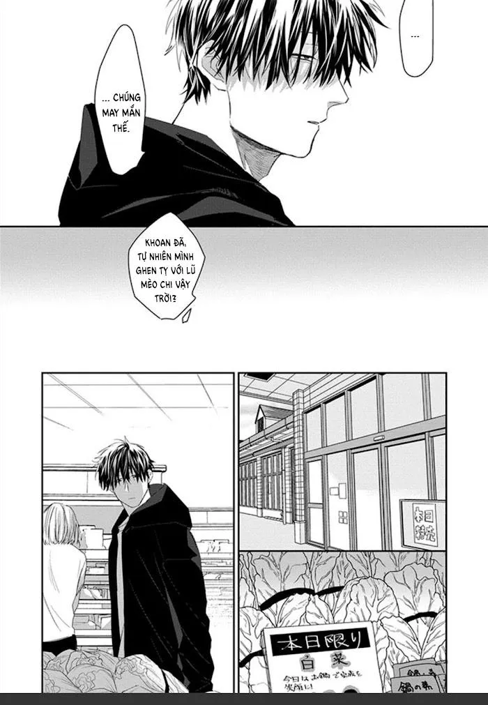 Phù thủy và Mèo Chapter 1 Trang 22