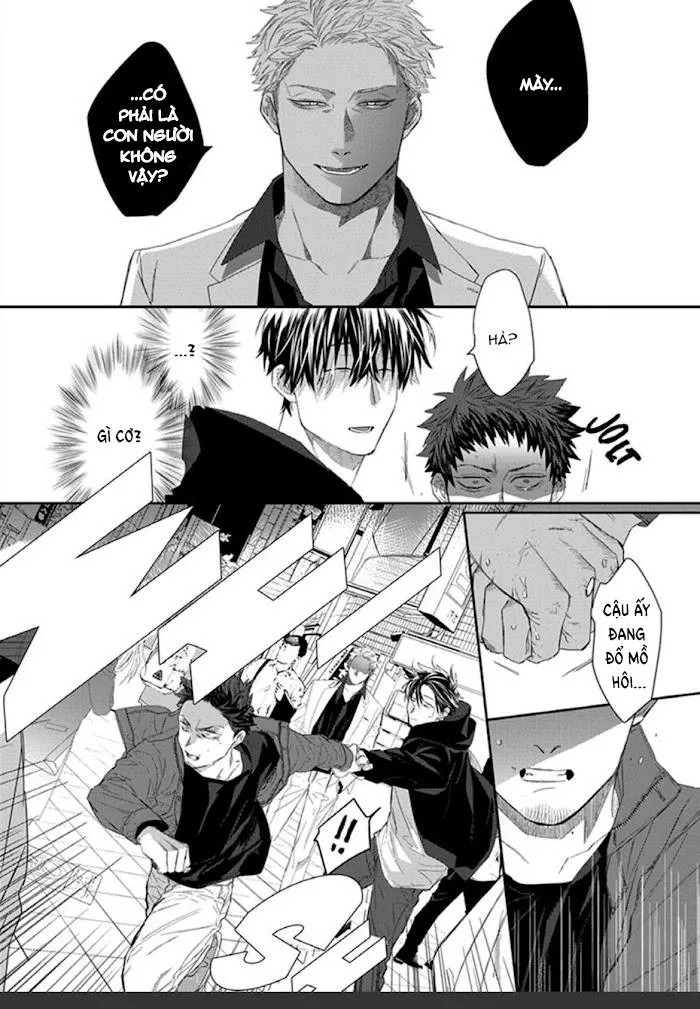 Phù thủy và Mèo Chapter 1 Trang 33