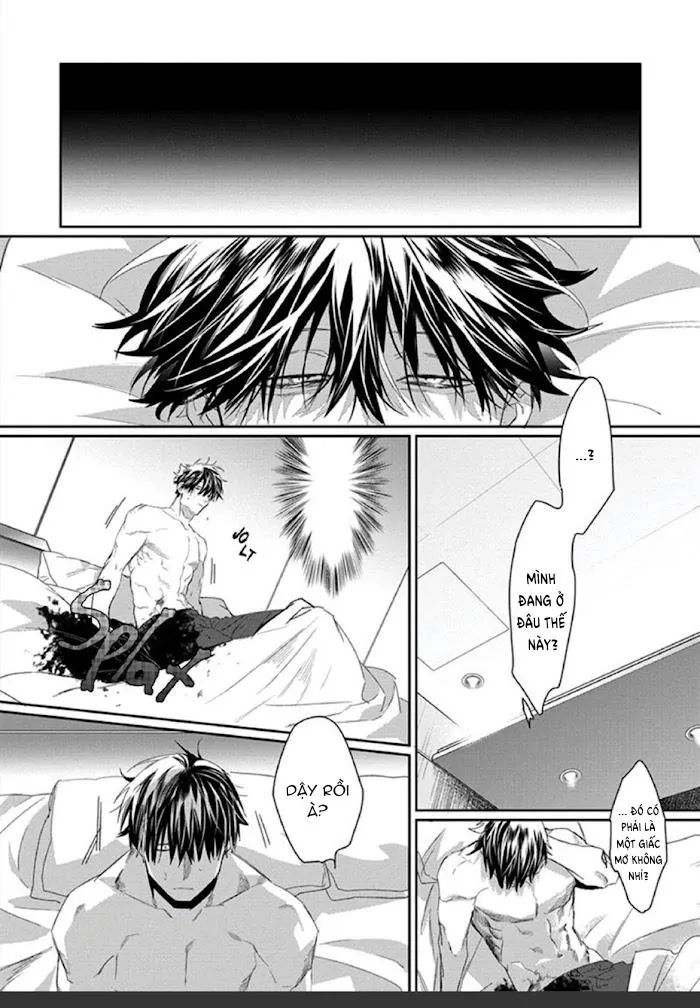 Phù thủy và Mèo Chapter 1 Trang 41