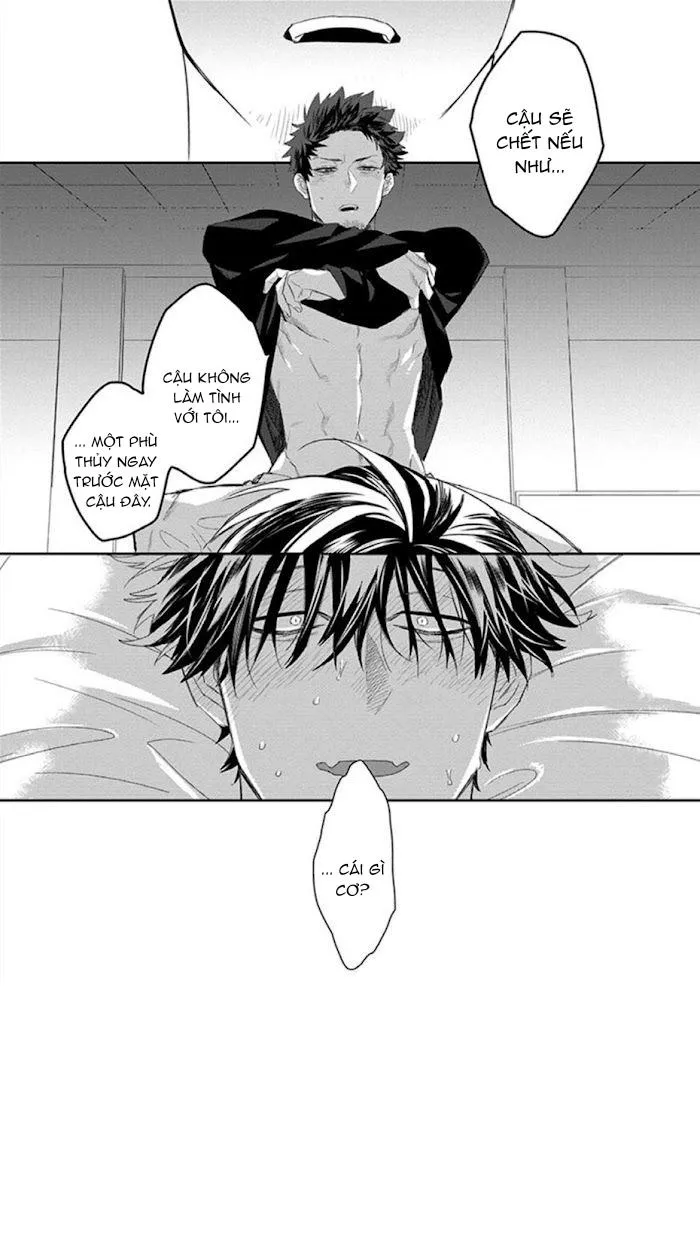 Phù thủy và Mèo Chapter 1 Trang 43