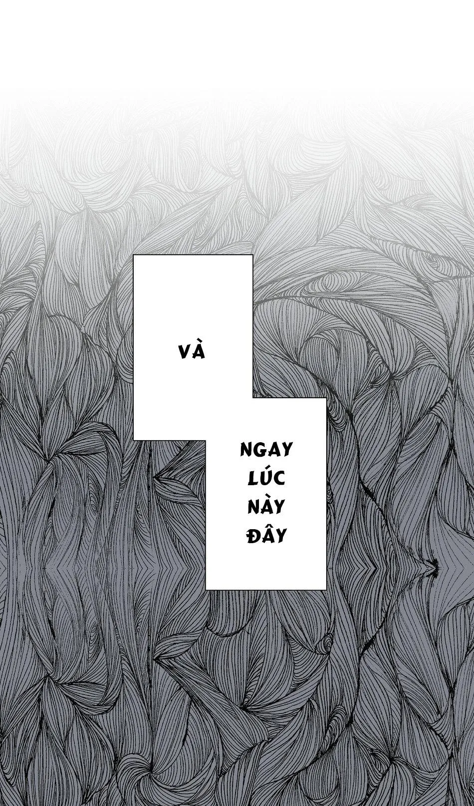 Phù Thủy Xứ Eden Chapter 15 Trang 29