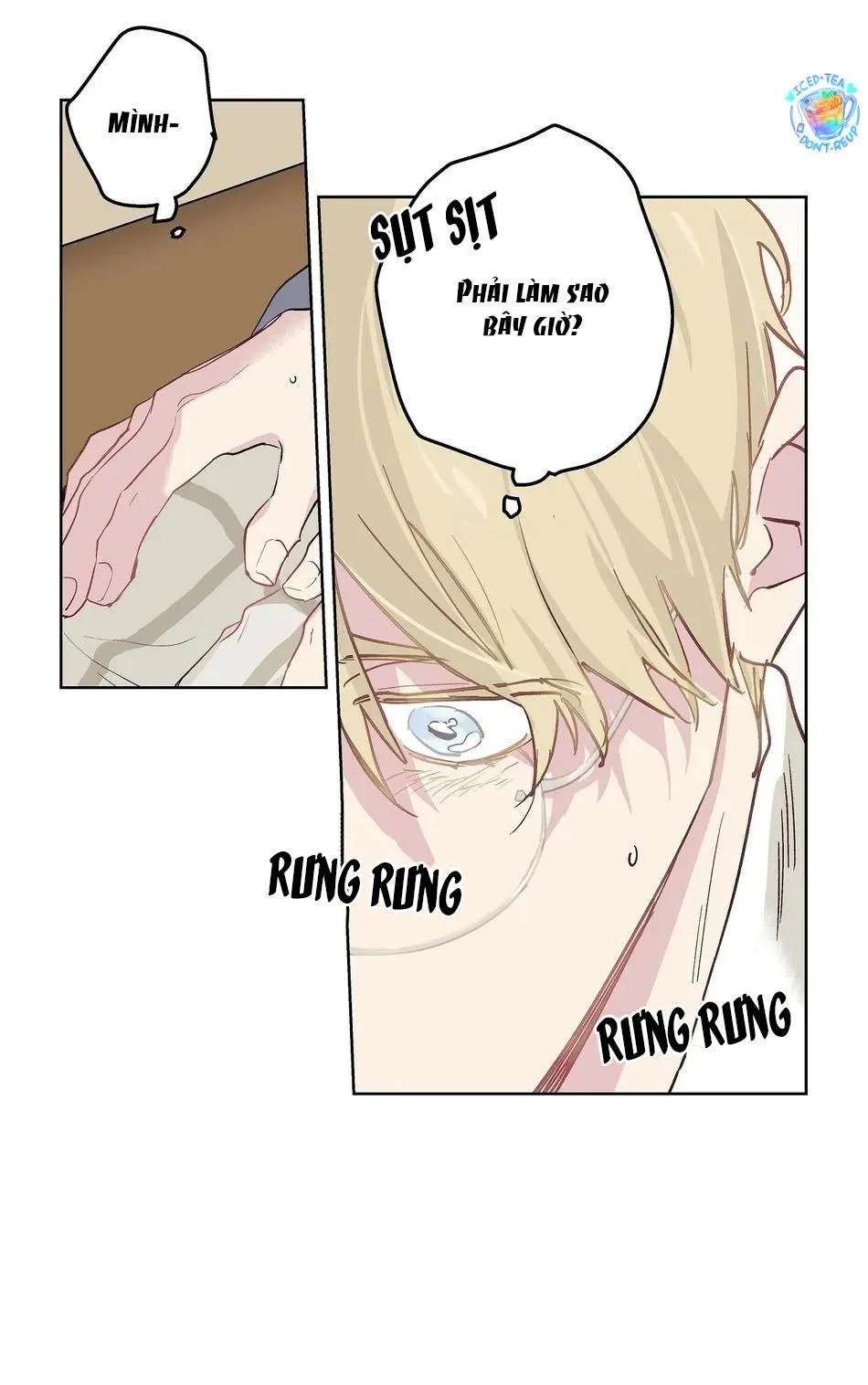 Phù Thủy Xứ Eden Chapter 16 Trang 11