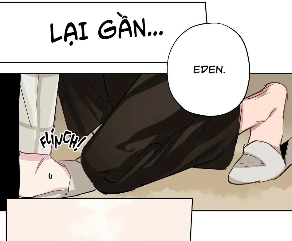 Phù Thủy Xứ Eden Chapter 16 Trang 13