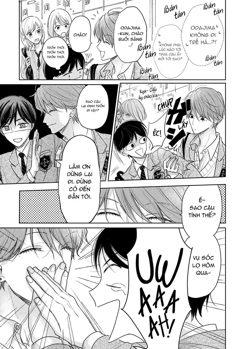 Pittosporum Chapter 2 Trang 5